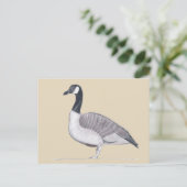 Tekening van Goose Standing on Sand Briefkaarten (Staand voorkant)
