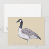 Tekening van Goose Standing on Sand Briefkaarten (Voorkant / Achterkant)