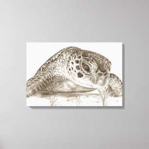 Tekening van groene zeeschildpad canvas afdruk