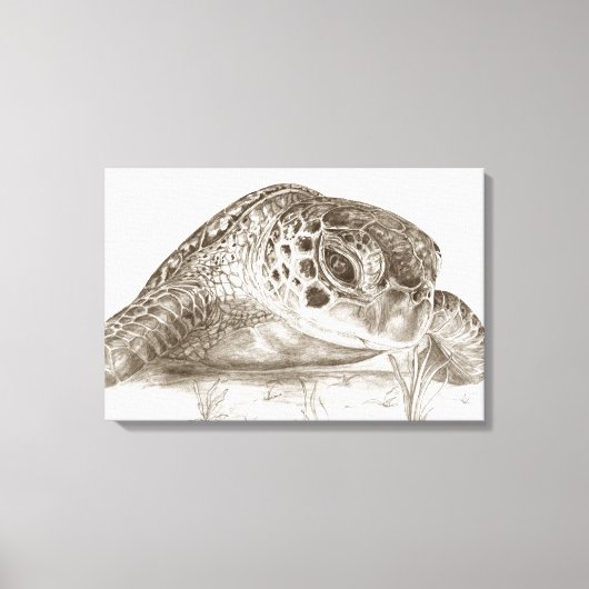 Tekening van groene zeeschildpad canvas afdruk (Voorkant)