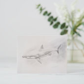 Tekening van grote witte haai briefkaart (Staand voorkant)