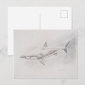 Tekening van grote witte haai briefkaart (Voorkant / Achterkant)
