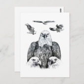 Tekening van het Eagle Collage Potlood Briefkaart (Voorkant / Achterkant)