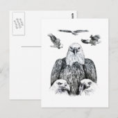 Tekening van het Eagle Collage Potlood Briefkaart (Voorkant / Achterkant)