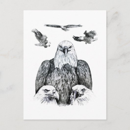 Tekening van het Eagle Collage Potlood Briefkaart (Voorkant)