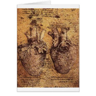 Tekening van het hart en de bloedvaten