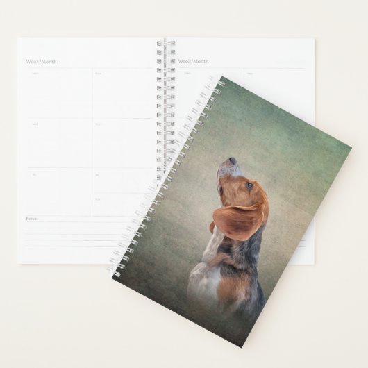 Tekening van hond Beagle Planner (Display)