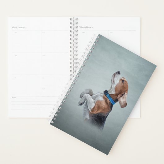 Tekening van hond Beagle Planner (Display)