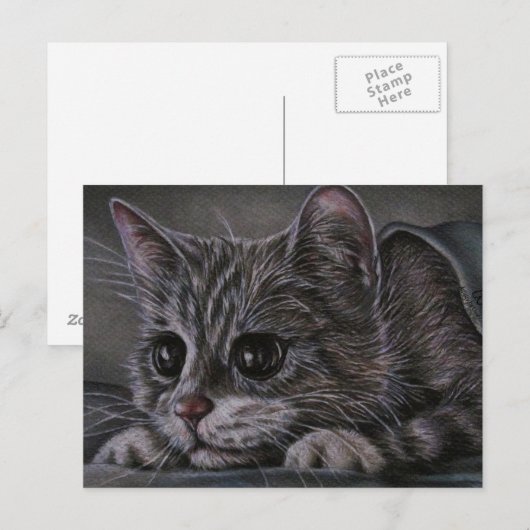 Tekening van Kitten op Briefkaart (Voorkant / Achterkant)