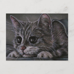 Tekening van Kitten op Briefkaart