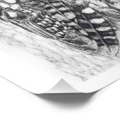 Tekening van kraamppotlood Tawny Owl Foto Afdruk (Hoek)