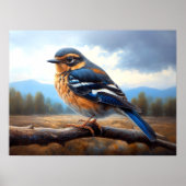 Tekening van oosterse Bluebird op een tak Poster (Voorkant)