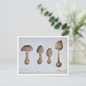 Tekening van Parasol Mushrooms Briefkaart (Staand voorkant)
