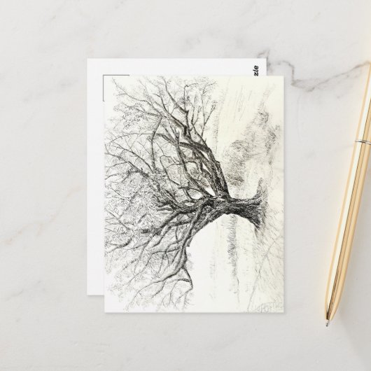 Tekening van pen- en inktboom briefkaart (Voorkant / Achterkant in situ)