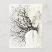 Tekening van pen- en inktboom briefkaart (Voorkant)