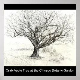 Tekening van pen- en inktboom poster