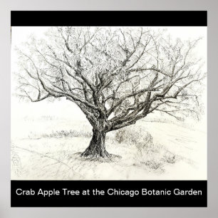 Tekening van pen- en inktboom poster