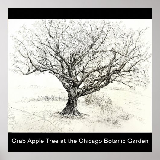 Tekening van pen- en inktboom poster (Voorkant)