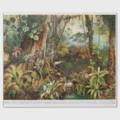  tekening van tropische planten uit de tropische b cadeaupapier (Vlak)