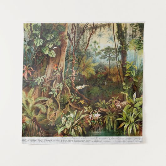  tekening van tropische planten uit de tropische b wandkleed (Voorkant)