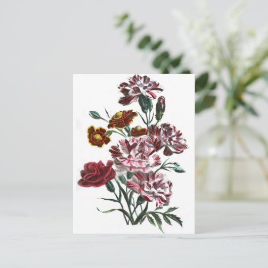  tekening: Vlaamse roze bloemen Briefkaart (Staand voorkant)