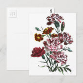  tekening: Vlaamse roze bloemen Briefkaart (Voorkant / Achterkant)