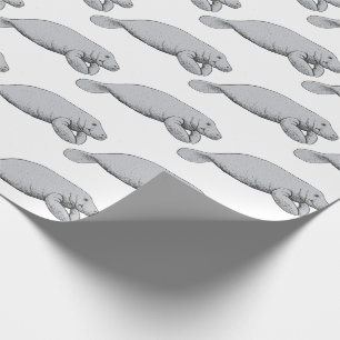 Tekeningen van een oude lamantijn cadeaupapier