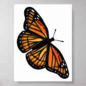 Tekeningen van Monarchvlinders met gekleurde potlo Poster (Voorkant)