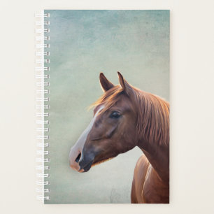 Tekenportret paard planner
