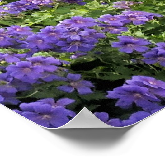 TEKENS VAN DE OUDE TREINSTATION POSTER (Hoek)