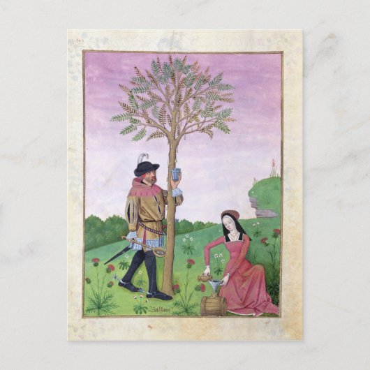 Tekenzagen van een boom briefkaart (Voorkant)