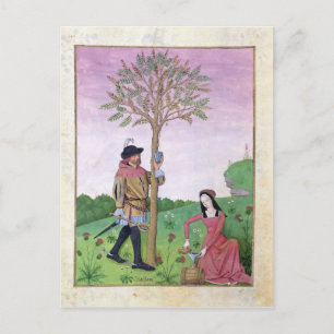 Tekenzagen van een boom briefkaart