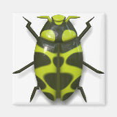 Tekke insecteninsecten magneet (Voorkant)