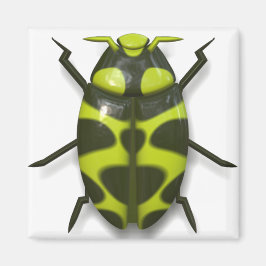 Tekke insecteninsecten magneet