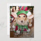 Tekkel die het kostuum van het santaelf dragen feestdagenkaart (Voorkant / Achterkant)