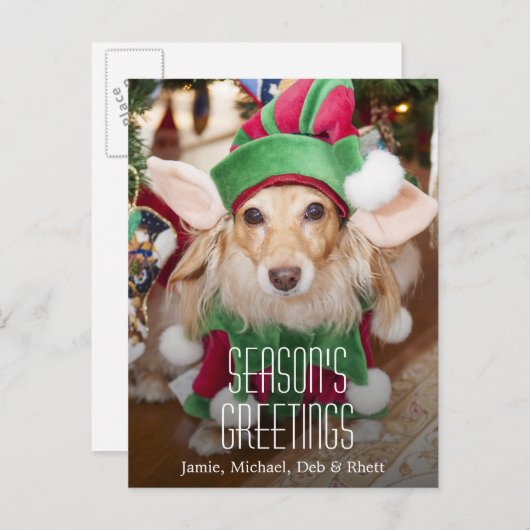 Tekkel die het kostuum van het santaelf dragen feestdagenkaart (Voorkant / Achterkant)