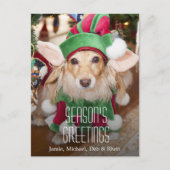 Tekkel die het kostuum van het santaelf dragen feestdagenkaart (Voorkant)