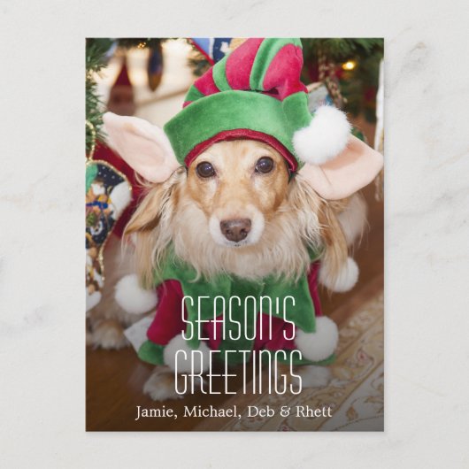 Tekkel die het kostuum van het santaelf dragen feestdagenkaart (Voorkant)