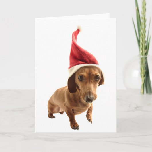 Tekkel in het pet van de Kerstman Feestdagen Kaart (Voorkant)