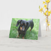 Tekkel Kaart (Gele Bloem)