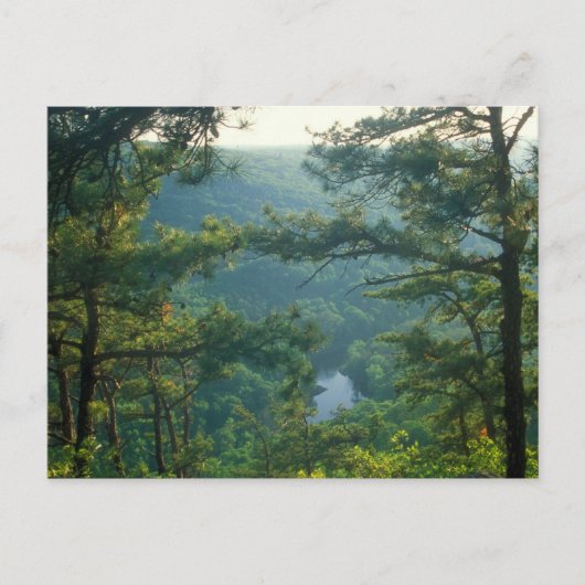 Tekoa Mountain Briefkaart (Voorkant)