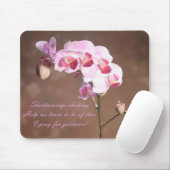 Tekortkomingen Muismat (Met muis)