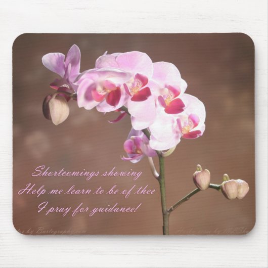 Tekortkomingen Muismat (Voorkant)