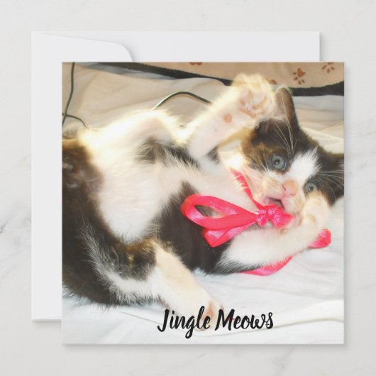 Tekst Jingle Meows voor Kitten Foto, Aanpassen, Feestdagenkaart (Voorkant)
