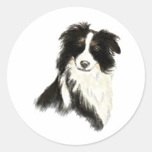 Tekst voor aangepaste naam Kader Collie Dog Pet Ronde Sticker