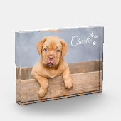 Tekst wordt gepersonaliseerd door aangepaste foto  (Links)