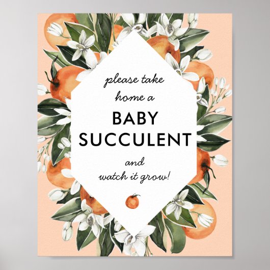 Tekstbord voor babyfeest met succulenten Little Cu Poster (Voorkant)