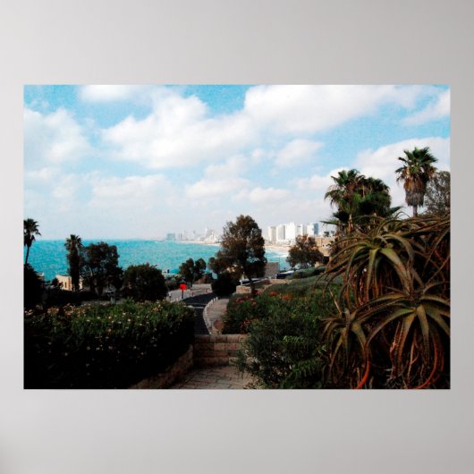 Tel Aviv foto van Abrasha Park, Jaffa, Israël Poster (Voorkant)