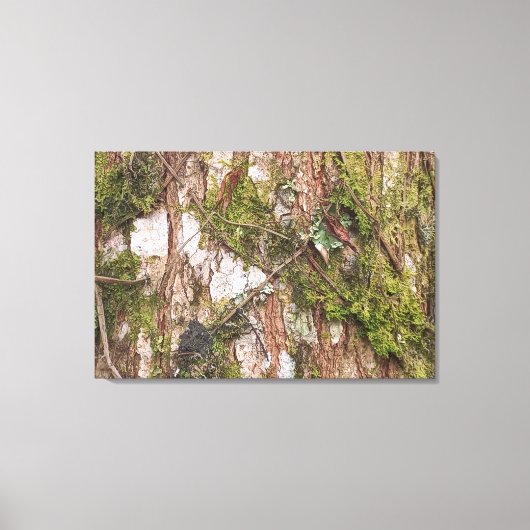 TELA CANVAS QUADRO DECORAÇÃO NATUREZA ÁRVORE NOVO  (Voorkant)