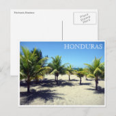 tela palms honduras briefkaart (Voorkant / Achterkant)